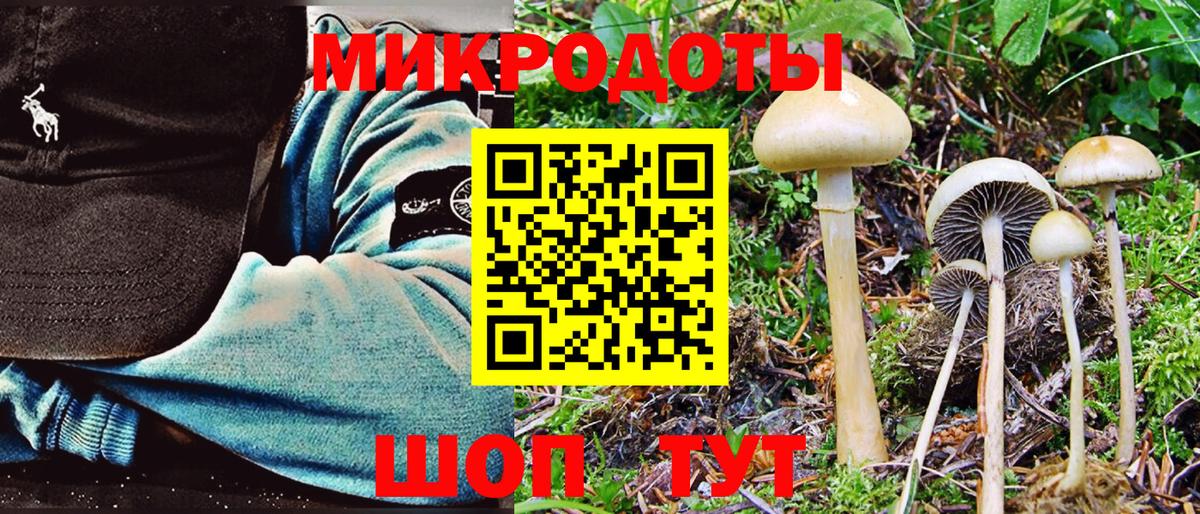 Псилоцибиновые грибы Cubensis  Вход с VPN  Торжок 